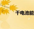 干电池能带上飞机吗（干电池）