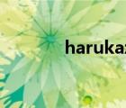 harukaze公司（harukaze）