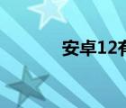 安卓12有哪些手机（安卓12）