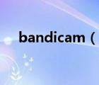 bandicam（说一说bandicam的简介）