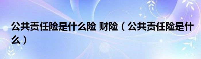公共责任险是什么险 财险（公共责任险是什么）