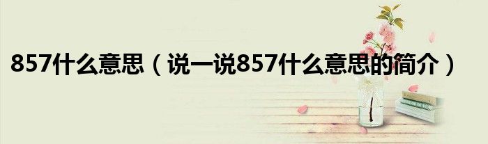 857什么意思（说一说857什么意思的简介）