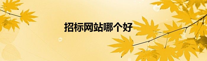 招标网站哪个好