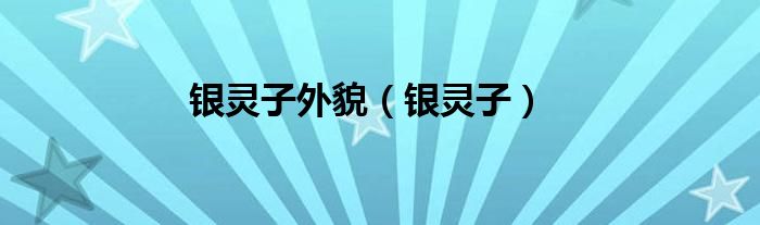银灵子外貌（银灵子）