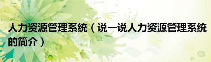人力资源管理系统（说一说人力资源管理系统的简介）