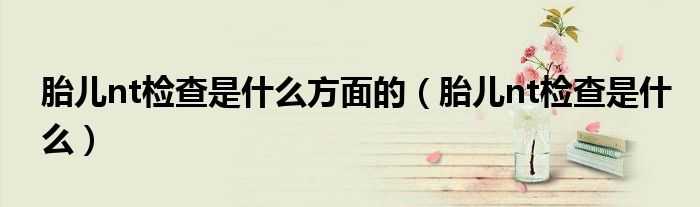 胎儿nt检查是什么方面的（胎儿nt检查是什么）
