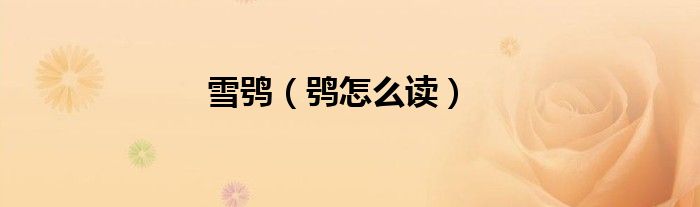 雪鸮（鸮怎么读）