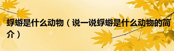 蜉蝣是什么动物（说一说蜉蝣是什么动物的简介）