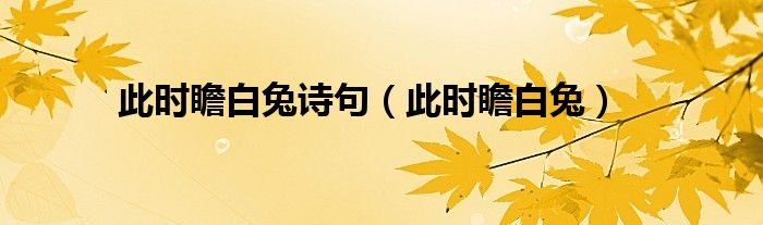 此时瞻白兔诗句（此时瞻白兔）