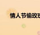 情人节偷玫瑰小游戏（情人节偷玫瑰）