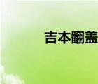 吉本翻盖集成灶（翻盖集成灶）
