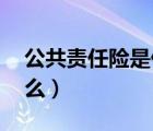 公共责任险是什么险 财险（公共责任险是什么）