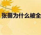 张蔷为什么被全面封杀（张蔷为什么被封杀）