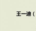 王一迪（说一说王一迪的简介）