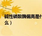 碱性磷酸酶偏高是什么意思啊（碱性磷酸酶偏高的原因是什么）