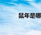 鼠年是哪几年（鼠年拜年短信）