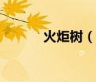 火炬树（说一说火炬树的简介）