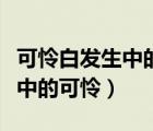 可怜白发生中的可怜是什么意思（可怜白发生中的可怜）