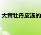 大黄牡丹皮汤的功效与作用（大黄牡丹皮汤）