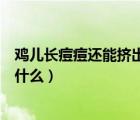 鸡儿长痘痘还能挤出白色的（痘痘里面挤出来的白色东西是什么）