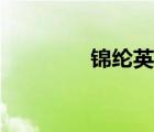 锦纶英文简称（锦纶英文）