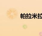 帕拉米拉4（小帕米拉怎么接）