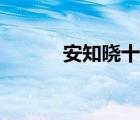 安知晓十大经典小说（安知晓）