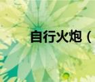 自行火炮（说一说自行火炮的简介）