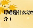 蜉蝣是什么动物（说一说蜉蝣是什么动物的简介）