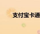 支付宝卡通（支付宝卡通余额查询）