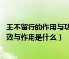 王不留行的作用与功效与作用（王不留行介绍 王不留行的功效与作用是什么）