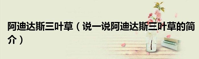 阿迪达斯三叶草（说一说阿迪达斯三叶草的简介）