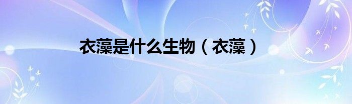 衣藻是什么生物（衣藻）