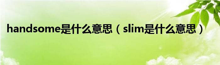 handsome是什么意思（slim是什么意思）