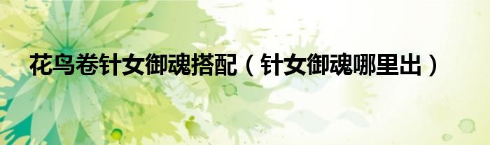花鸟卷针女御魂搭配（针女御魂哪里出）