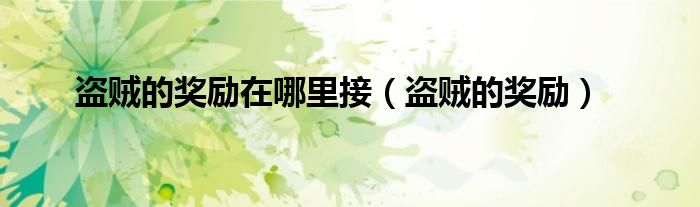 盗贼的奖励在哪里接（盗贼的奖励）