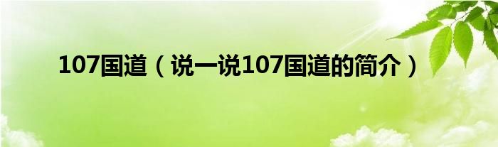 107国道（说一说107国道的简介）