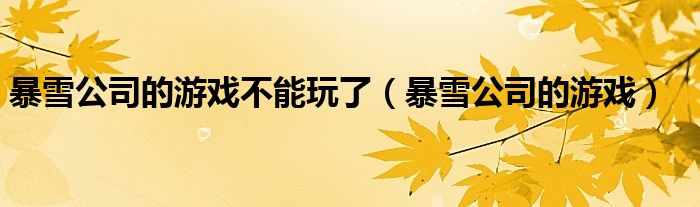 暴雪公司的游戏不能玩了（暴雪公司的游戏）