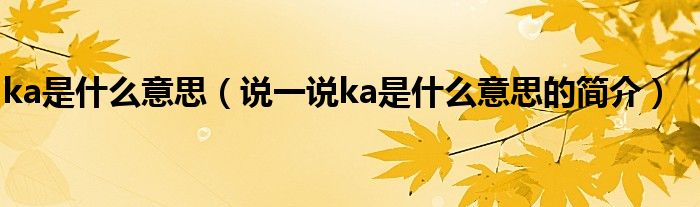 ka是什么意思（说一说ka是什么意思的简介）