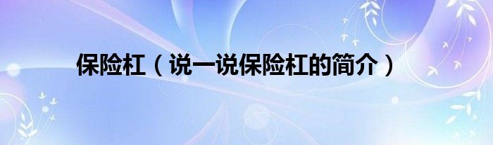 保险杠（说一说保险杠的简介）