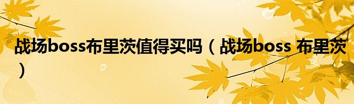 战场boss布里茨值得买吗（战场boss 布里茨）