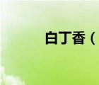 白丁香（说一说白丁香的简介）