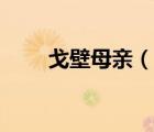 戈壁母亲（说一说戈壁母亲的简介）