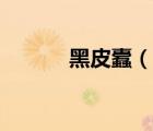 黑皮蠹（说一说黑皮蠹的简介）