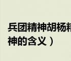 兵团精神胡杨精神老兵精神心得体会（胡杨精神的含义）