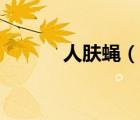 人肤蝇（说一说人肤蝇的简介）