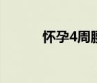 怀孕4周腰酸正常吗（怀孕4周）