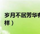 岁月不居芳华有信的意思（有信免费电话怎么样）