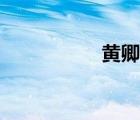 黄卿个人简历（黄卿）