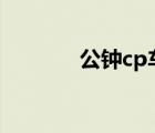 公钟cp车图（公与媳在车上）